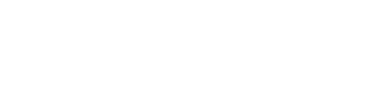Trade & Supply Chain Consulting
